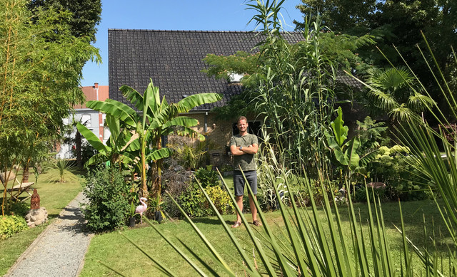 webmaster2019